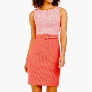 Calvin Klein, women’s belted two toned sheath dress, size 10, orange